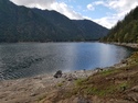 Olympic Peninsula Forests