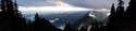 Olympic Peninsula Forests