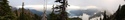 Olympic Peninsula Forests