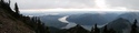 Olympic Peninsula Forests