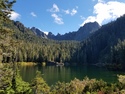 Olympic Peninsula Forests