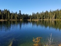 Olympic Peninsula Forests