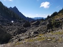 Olympic Peninsula Forests