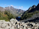Olympic Peninsula Forests
