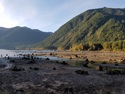 Olympic Peninsula Forests