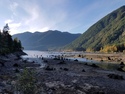 Olympic Peninsula Forests