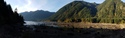 Olympic Peninsula Forests