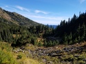 Olympic Peninsula Forests