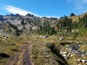 Olympic Peninsula Forests