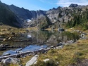 Olympic Peninsula Forests