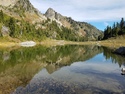 Olympic Peninsula Forests