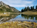 Olympic Peninsula Forests
