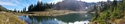 Olympic Peninsula Forests