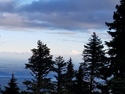 Olympic Peninsula Forests