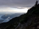 Olympic Peninsula Forests
