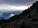 Olympic Peninsula Forests