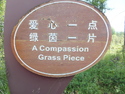 A compassion grass piece