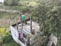 A goat on a neighbor's roof