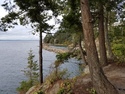 Around bellingham