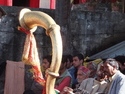 Awesome horn