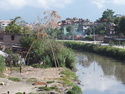 Bamboo swing on riverside