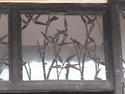 Bamboo window