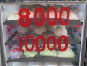 Banh bao