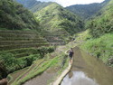 Batad rice terraces