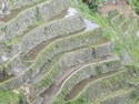 Batad rice terraces