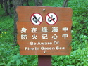 Be aware of fire in green sea