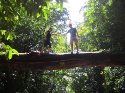 Beau and min walking across a fallen tree