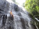 Beau sitting in a waterfall