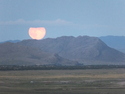 Beautiful moonrise