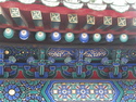 Beautiful roof