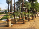 Bonai in hue