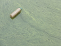 Bottle in stepwell