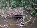 Broken boardwalk at niah