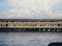 Brunei modern village