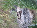 Coffins shoved in a cave