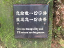 Correct chinese sign translation
