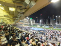 Crowd at the race track