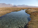 Crtystal clear river