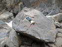 Danger tiger leaping gorge