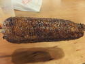 Delicious expensive roasted corn