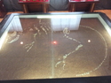 Dinosaur skeleton in sainshand