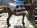 Donkey carrying chickens