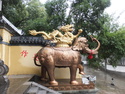 Dragon riding an elephant