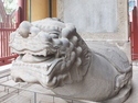 Dragon turtle carrying tablet