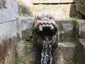 Dragon water spout