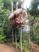 Drying corn